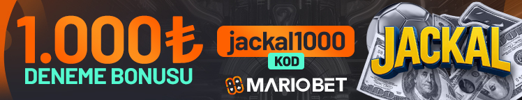 Bottom Banner